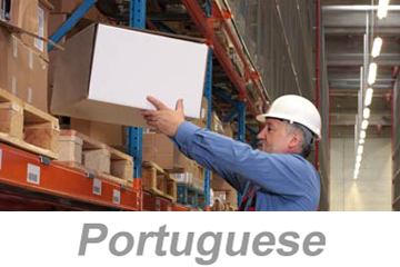 Industrial Ergonomics v2 (Portuguese), PS4 eLesson